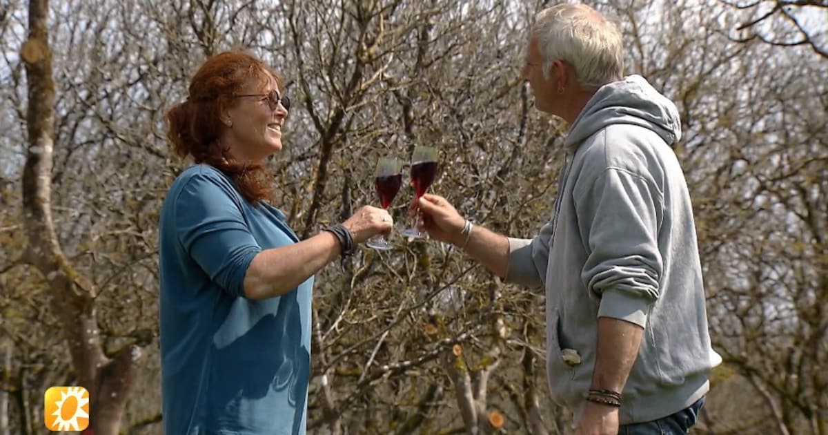 Geen Rozengeur En Maneschijn Tussen ‘B&B Vol Liefde’-Petra En Hans