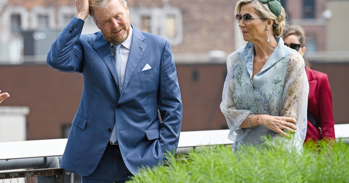 Que se passe-t-il entre Willem-Alexander et Máxima ?