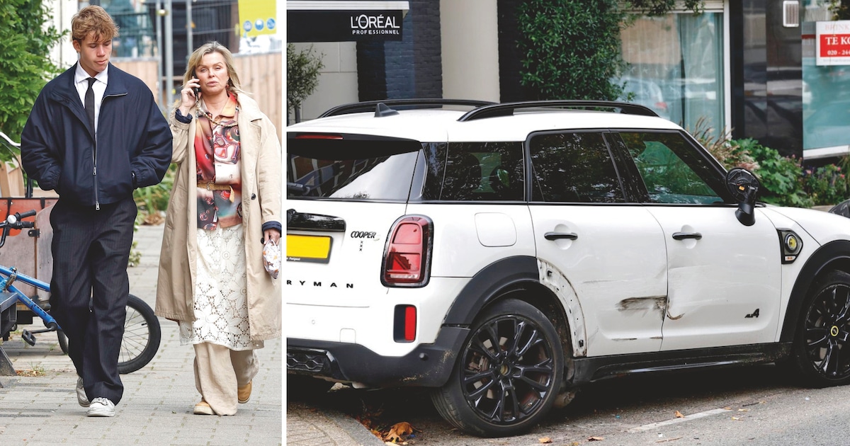 Bridget Maasland geschokt nadat auto die van haar ramde