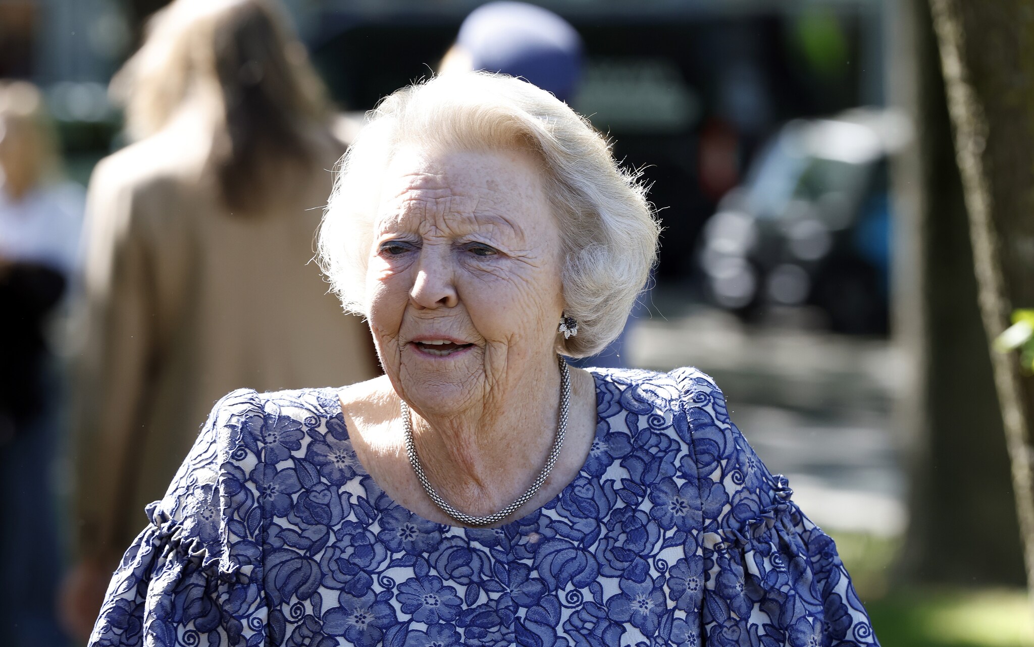 Nieuwe inzichten zorgen voor uitstel van Beatrix de Musical