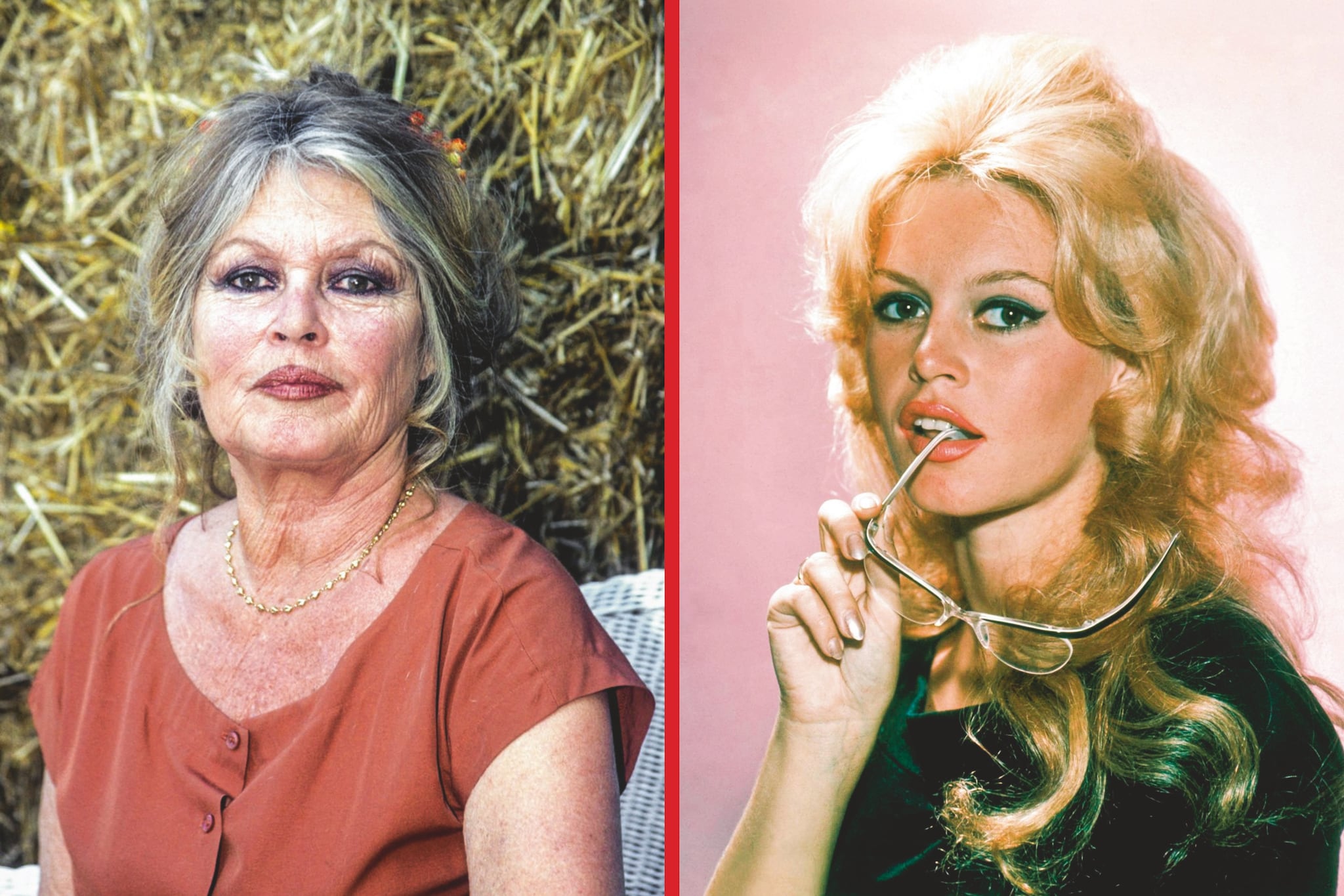 Brigitte Bardot